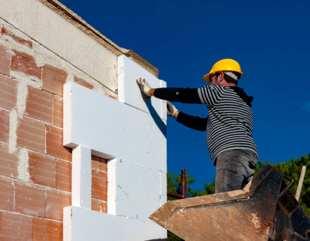 Best Cellulose Insulation in Lemmon Valley, NV