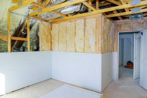 Best Geographic-Specific Insulation Services in Lemmon Valley, NV