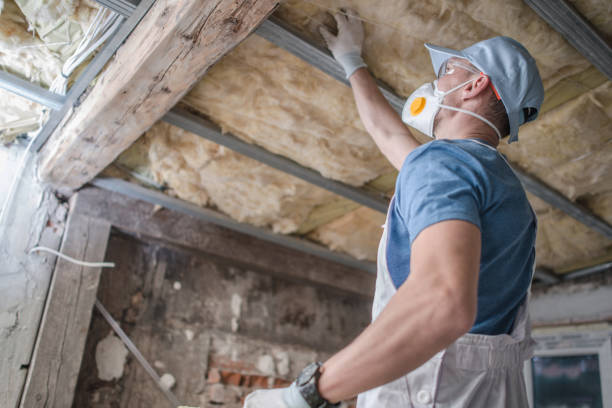 Best Blown-in Insulation in Lemmon Valley, NV